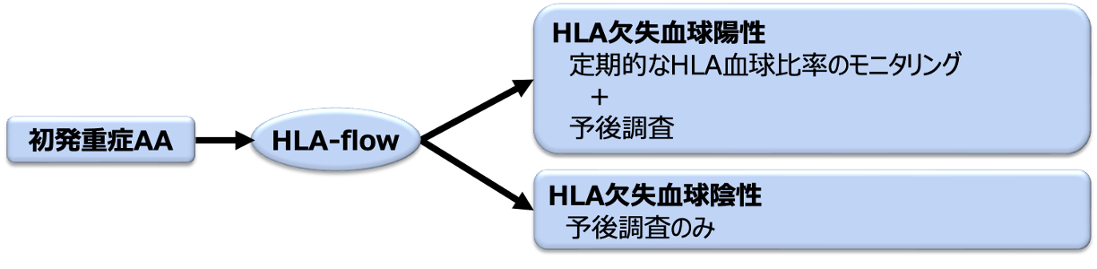 新研究「初発重症再生不良性貧血を対象としたHLA欠失血球の前向き観察研究」へのご参加のお願い